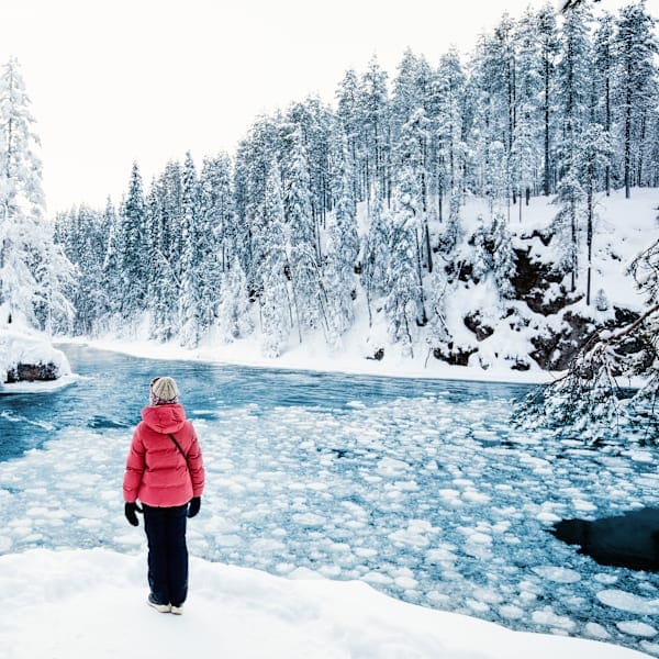 Finnland Signature: Nordlichtzauber im Nature Igloo