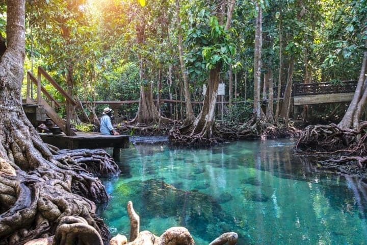 Jungle Adventure, Hot Springs & Tempel Tour thumbnail